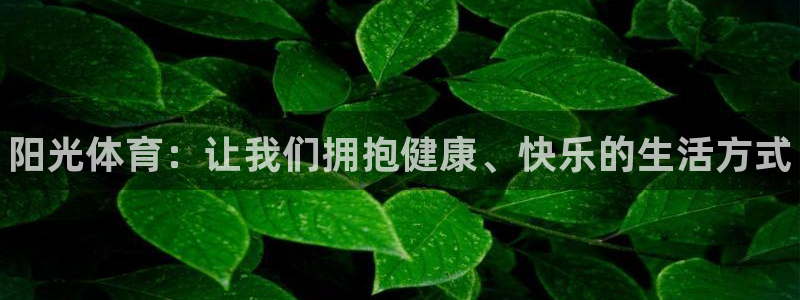 vsport体育官方正版app官网：阳光体育：让我们