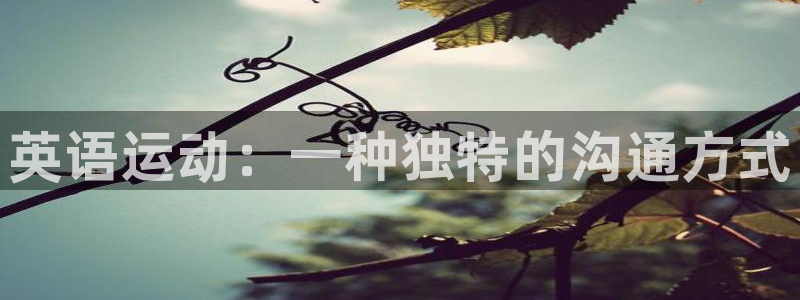vsport体育官方正版app官网：英语运动：一种独