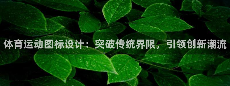 vsport体育官网下载联系电话：体育运动图标设计：