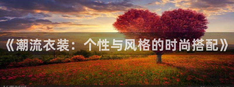 海南vsport体育官网下载