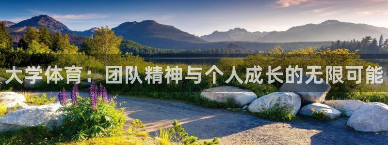 vsport体育官网下载招商电话是多少：大学体育：团