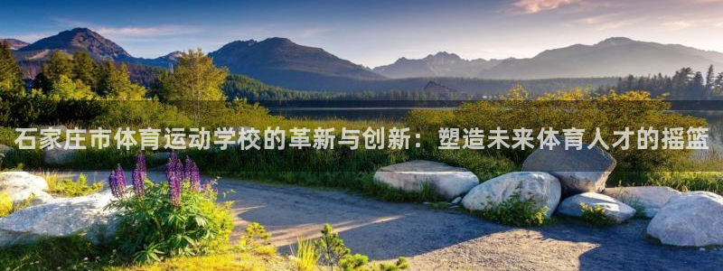 vsport体育官方正版app集团logo：石家庄市