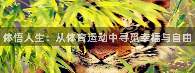 vsport体育官方正版app集团logo：体悟人生