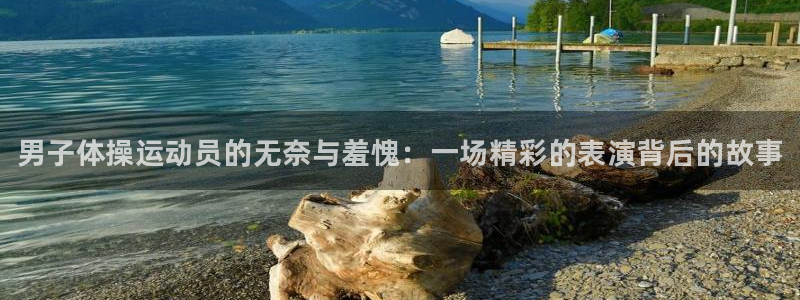 vsport体育官方正版app官方：男子体操运动员的