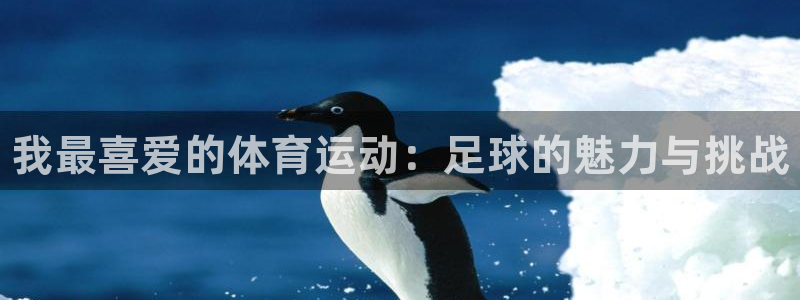 vsport体育官方集团官网：我最喜爱的体育运动：足