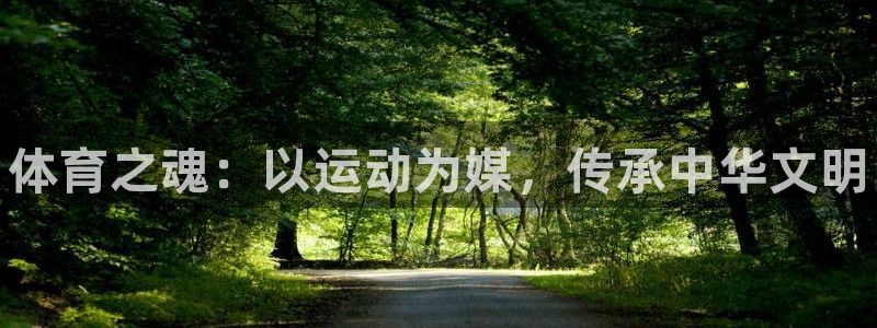 vsport体育官方平台体育：体育之魂：以运动为媒，