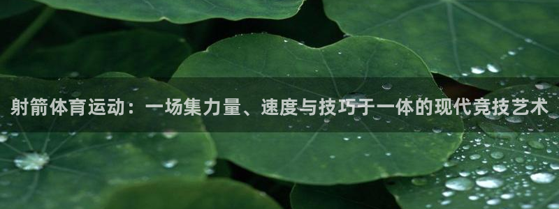 vsport体育官网下载平台是正规平台吗安全吗：射箭