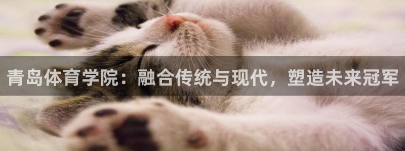 vsport体育官网下载平台注册流程视频：青岛体育学院：融合