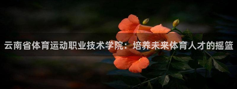 vsport体育官网下载招商电话地址查询：云南省体育运动职业
