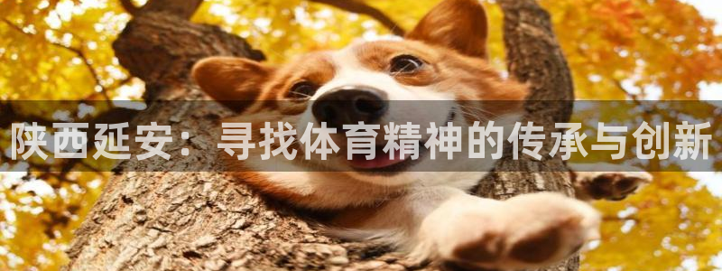 vsport体育官网下载招商：陕西延安：寻找体育精神的传承与