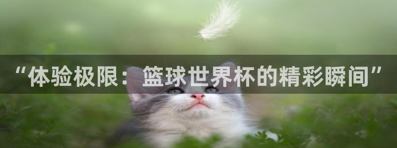 vsport体育官方正版app科技：“体验极限：篮球世界杯的