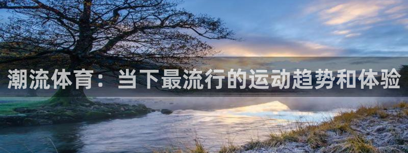 vsport体育官网下载平台APP