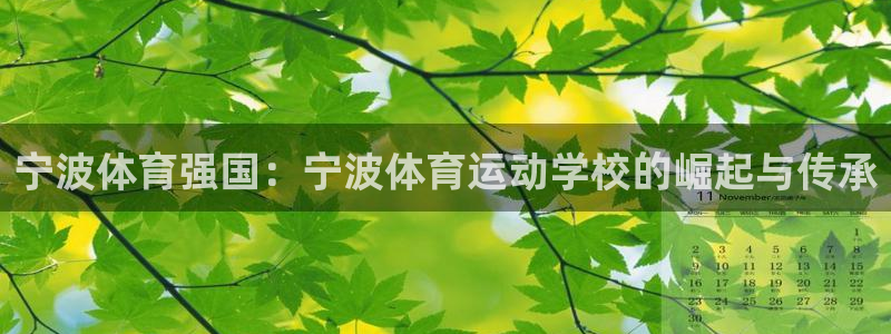 vsport体育官方正版app娱乐代理怎么样：宁波体