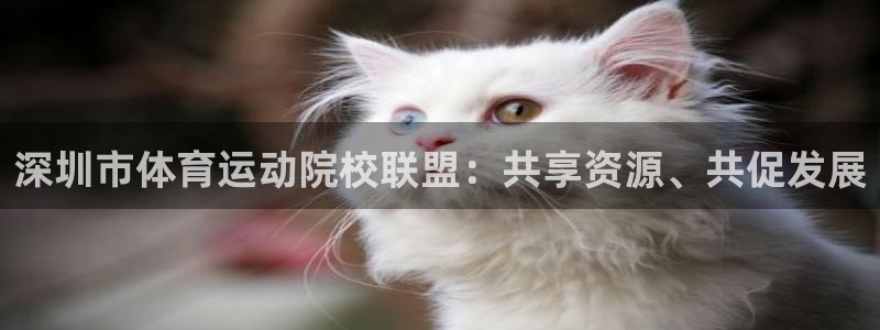 vsport体育官网下载平台APP：深圳市体育运动院校联盟：