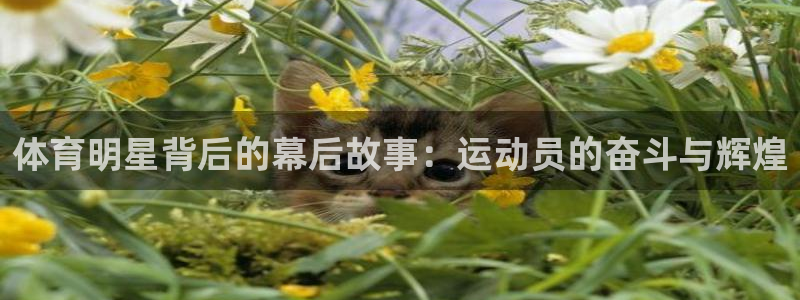 vsport体育官方平台体育：体育明星背后的幕后故事：运动员