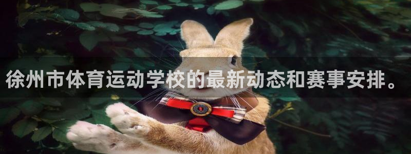 vsport体育官网下载软件