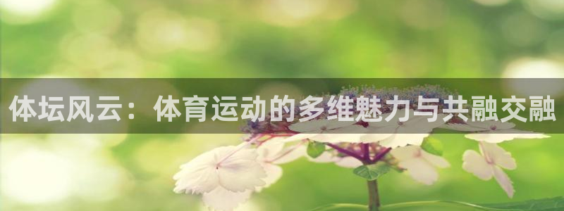 vsport体育官方正版app神州：体坛风云：体育运动的多维