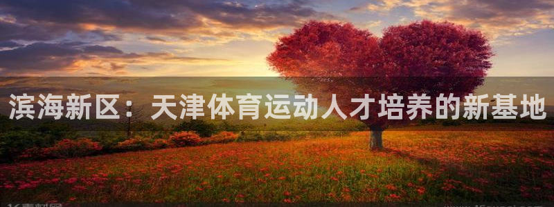 vsport体育官方正版app娱乐是那个系列的台子：滨海新区