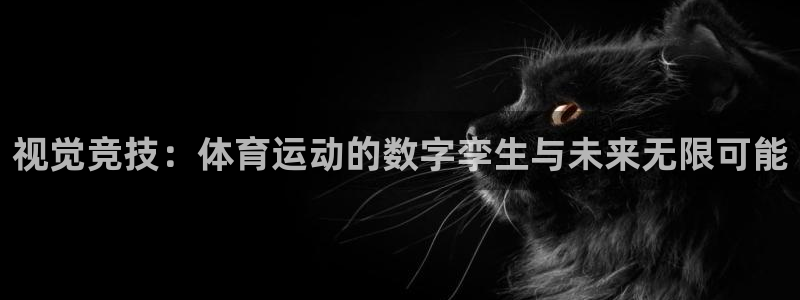 vsport体育官方集团官网：视觉竞技：体育运动的数字孪生与