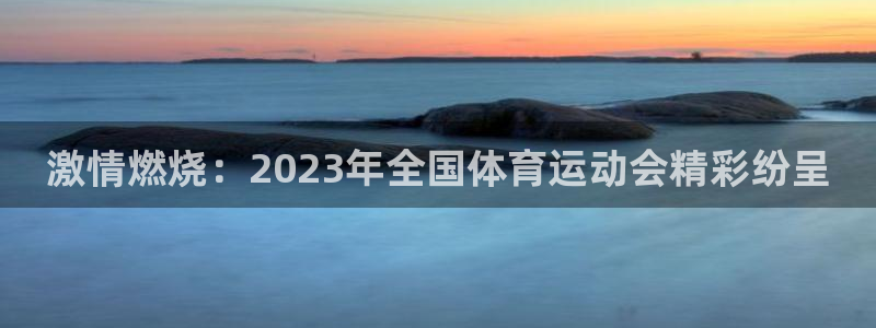 vsport体育官方正版app娱乐是那个系列的台子