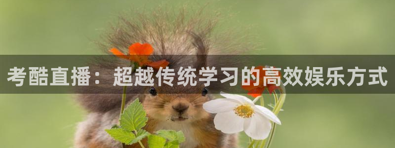 斗球直播网页版：考酷直播：超越传统学习的高效娱乐方式