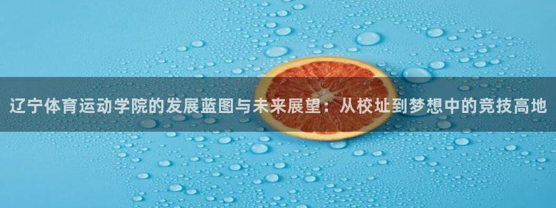 vsport体育官网下载联系电话：辽宁体育运动学院的发展蓝图